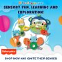 Fisher-Price Hello Senses Play Kit