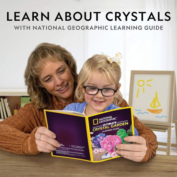 national geographic crystal growing garden – grow 3 crystal trees in just 6 hours with this crystal growing kit, stem kit (2)
