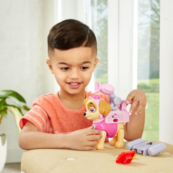 paw patrol skye to the rescue5