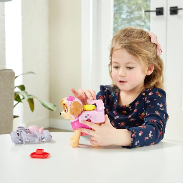 paw patrol skye to the rescue6