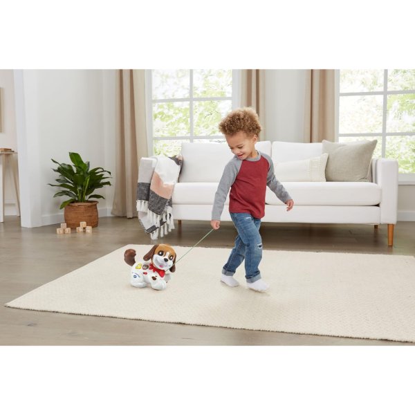 vtech walk and woof puppy7