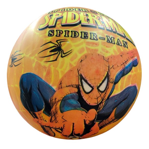 assorted beach balls7