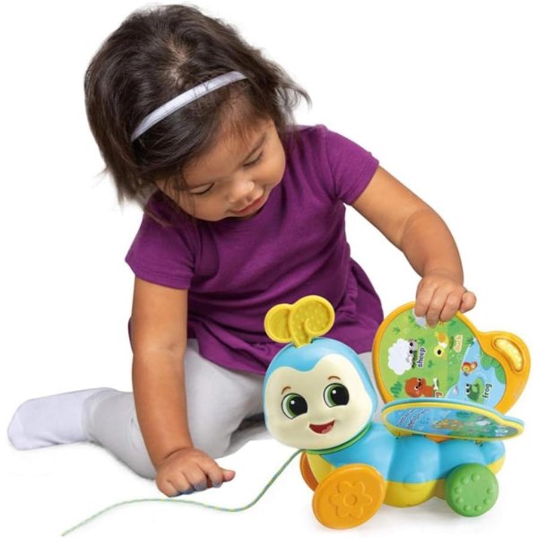 pull along butterfly book2