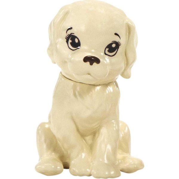 barbie pet photographer1