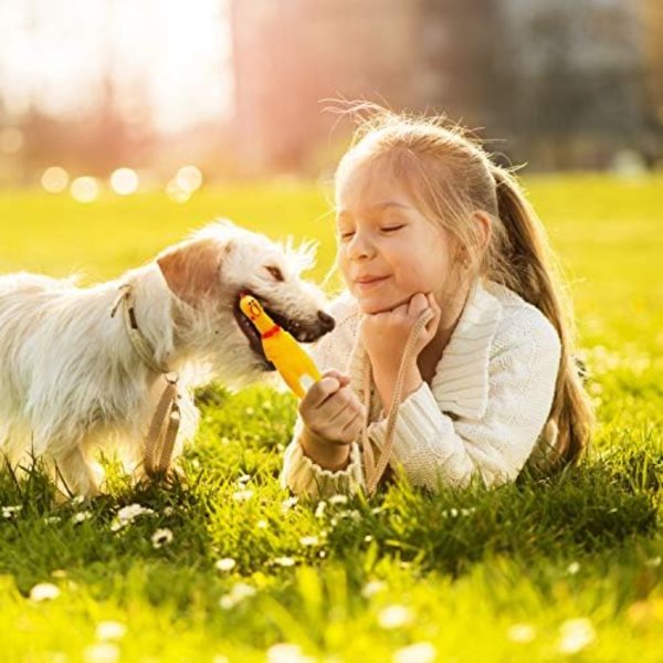 15 pcs rubber chicken squeaky toy2