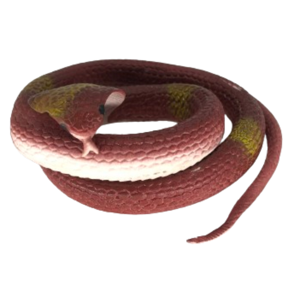 rubber toy snake (1)