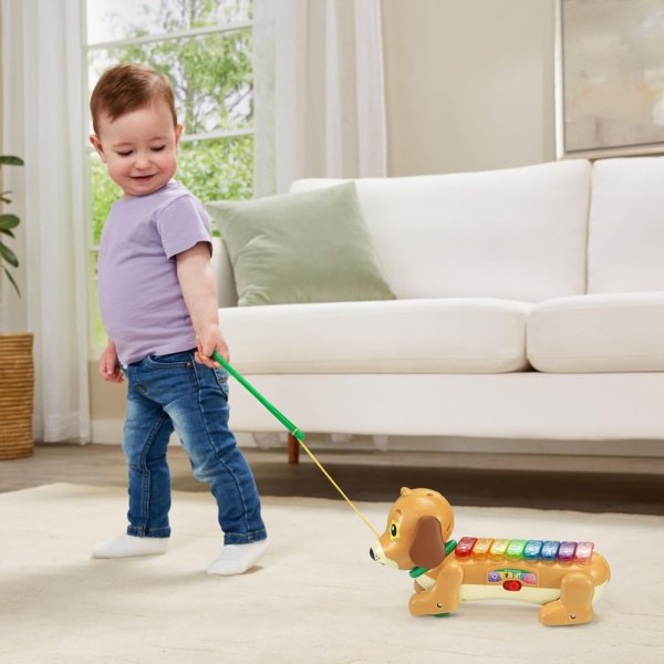vtech zoo jamz doggy xylophone2