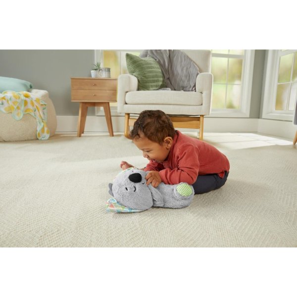 fisher price® soothe ‘n snuggle koala1