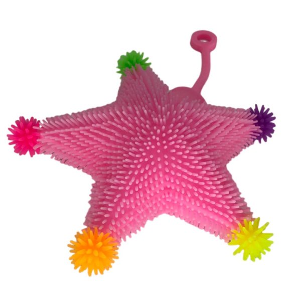 puffer ball starfish (1)