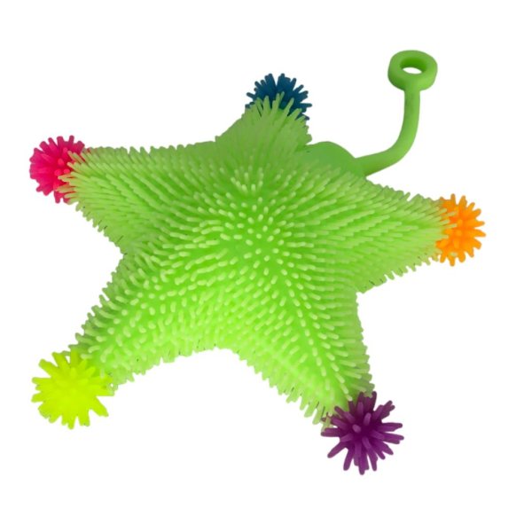 puffer ball starfish (2)