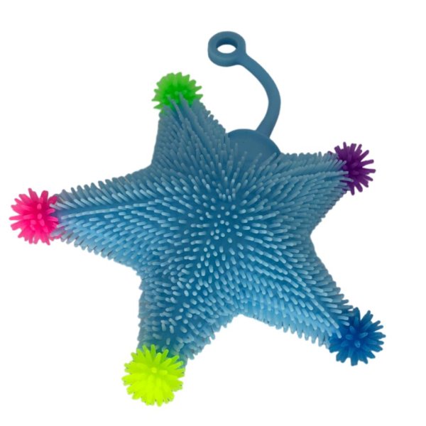 puffer ball starfish (3)