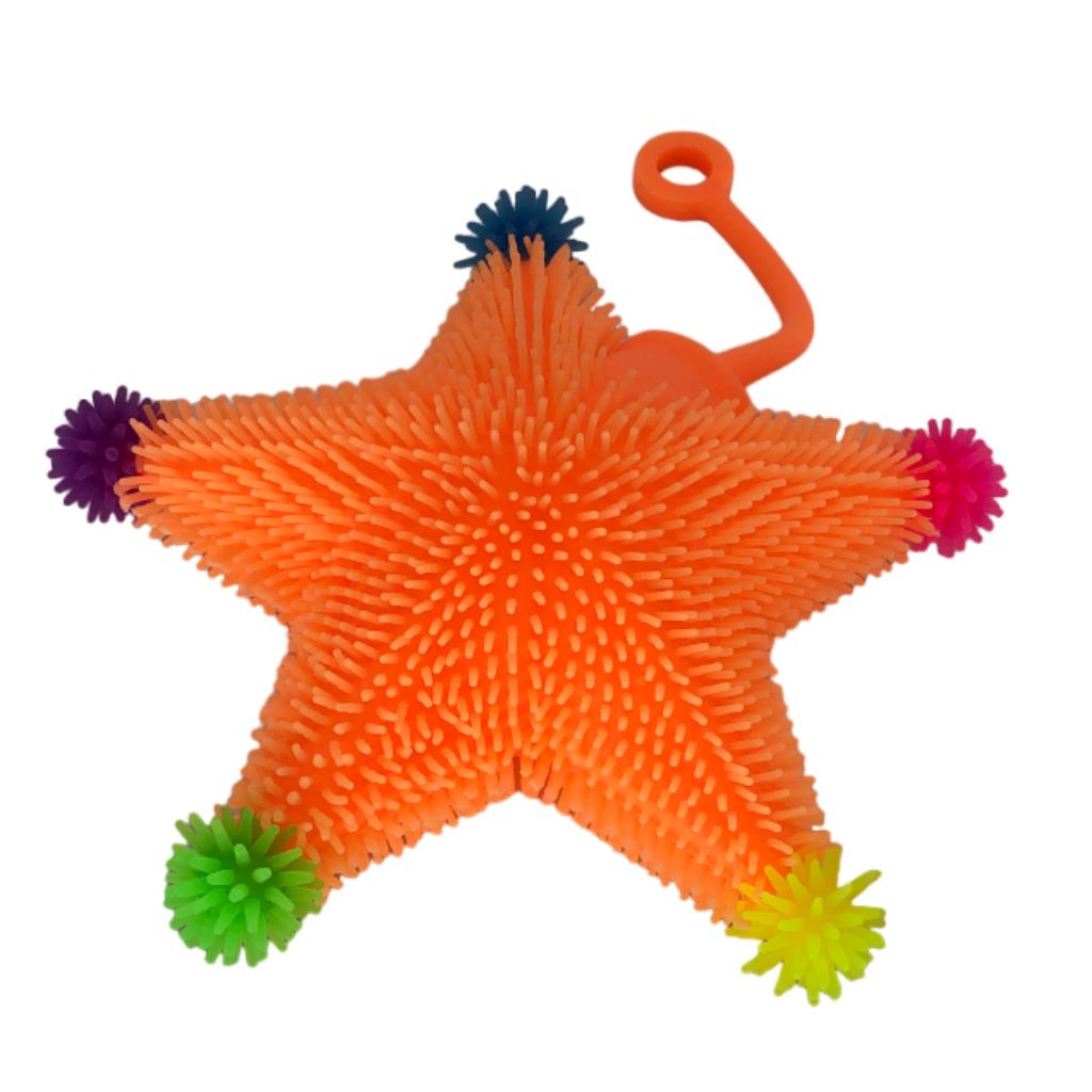 puffer ball starfish (4)