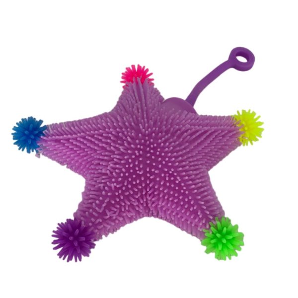 puffer ball starfish (5)
