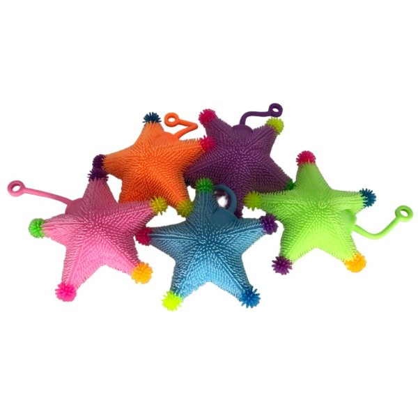 puffer ball starfish (6)