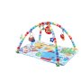 Sit & Play Activity Gym