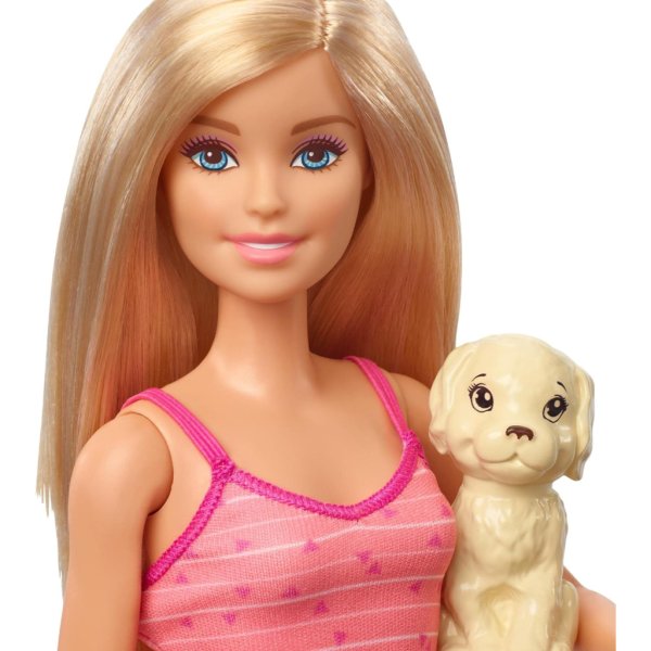 barbie doll & accessories5