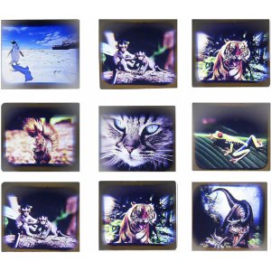 septcity 3d view toy for kids with 2 reel5