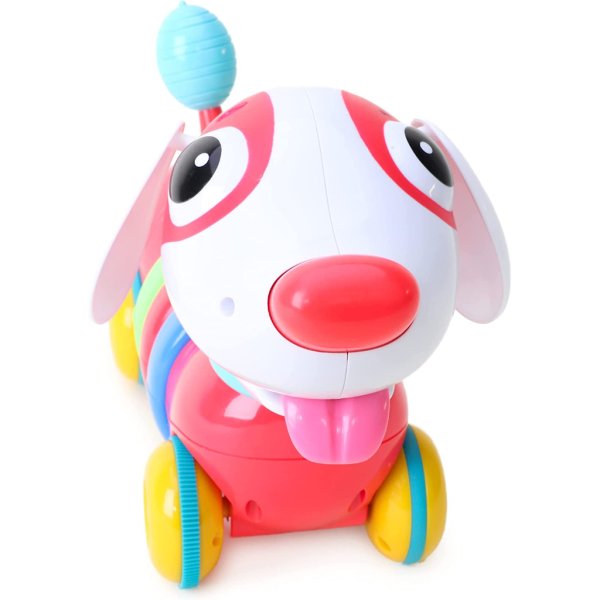 my first rainbow puppy1