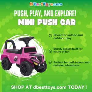 Mini Push Car