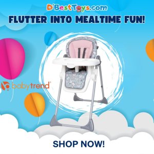 Sit Right High Chair - Flutterbye