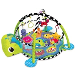 Turtle Play Gym (Green)