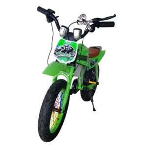 16 inch Motorised Bicycle