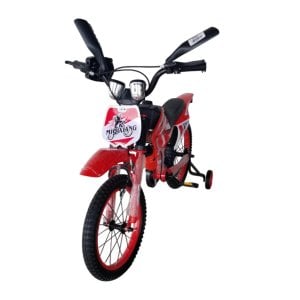 16inch Bike