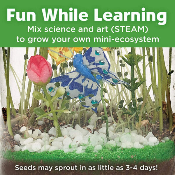 creativity for kids sparkle n glow butterfly terrarium (5)