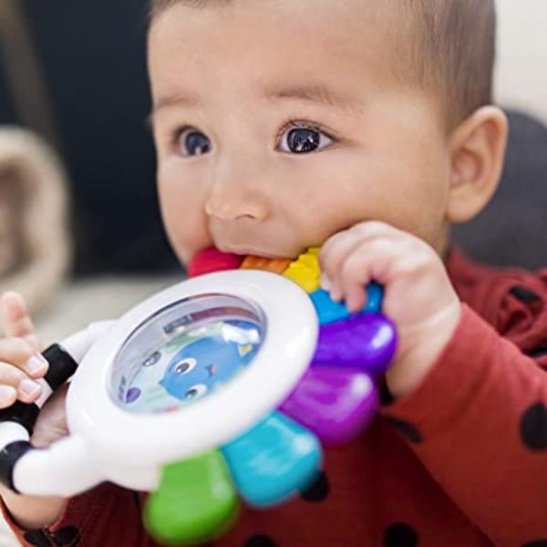 baby einstein outstanding opus the octopus 3