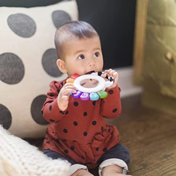 baby einstein outstanding opus the octopus 7