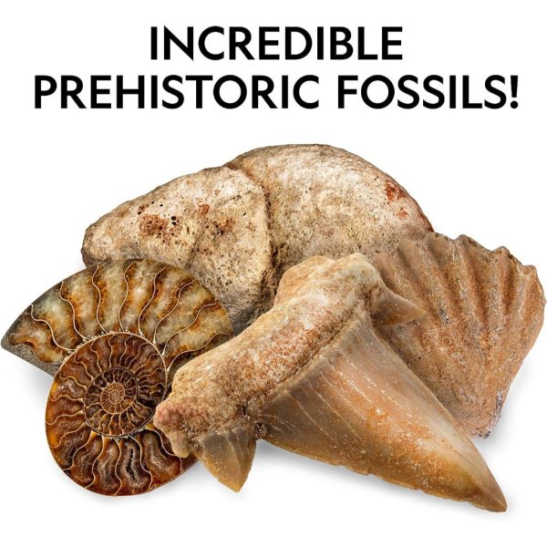 national geographic rocks & fossils kit – 200+ piece set (3) (1)