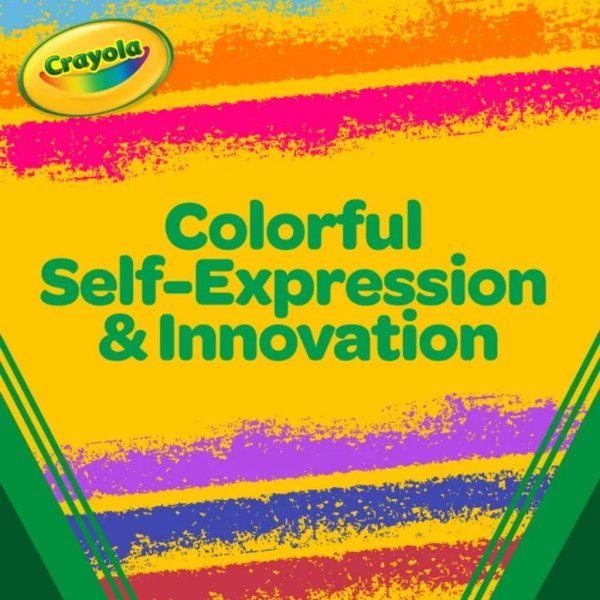 crayola pikachu art case6