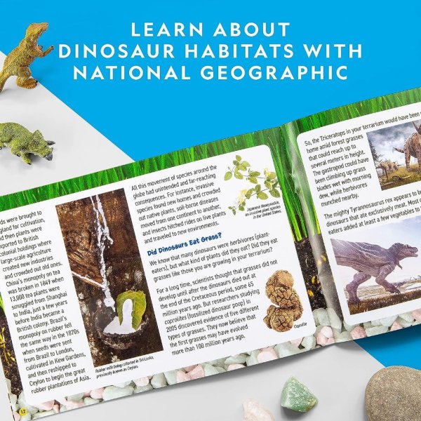 national geographic light up terrarium kit5