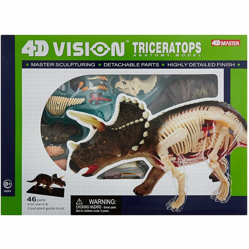 triceratops anatomy