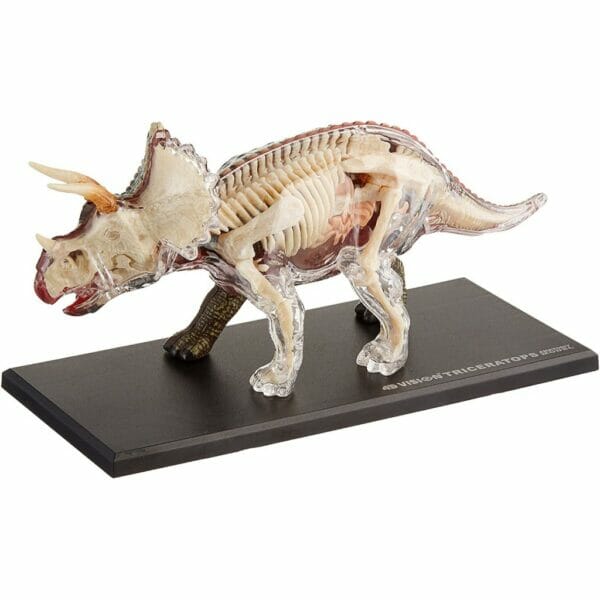 triceratops anatomy1