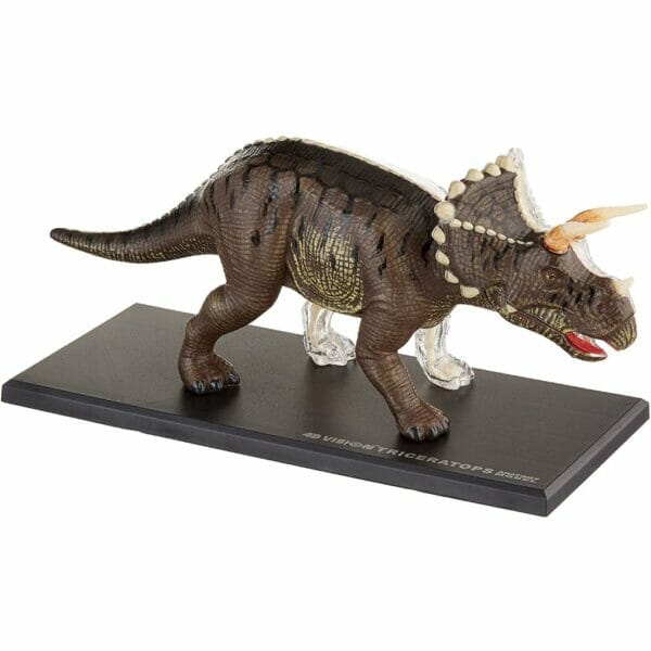 triceratops anatomy2