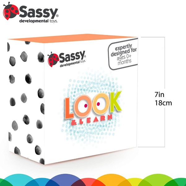 sassy look and learn baby box1