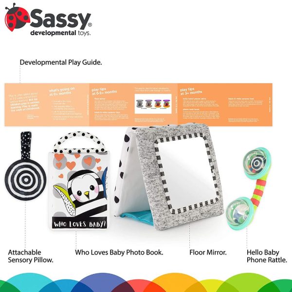 sassy look and learn baby box2