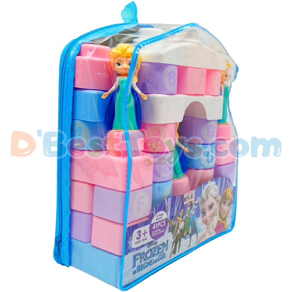 frozen 41pc building blocks2