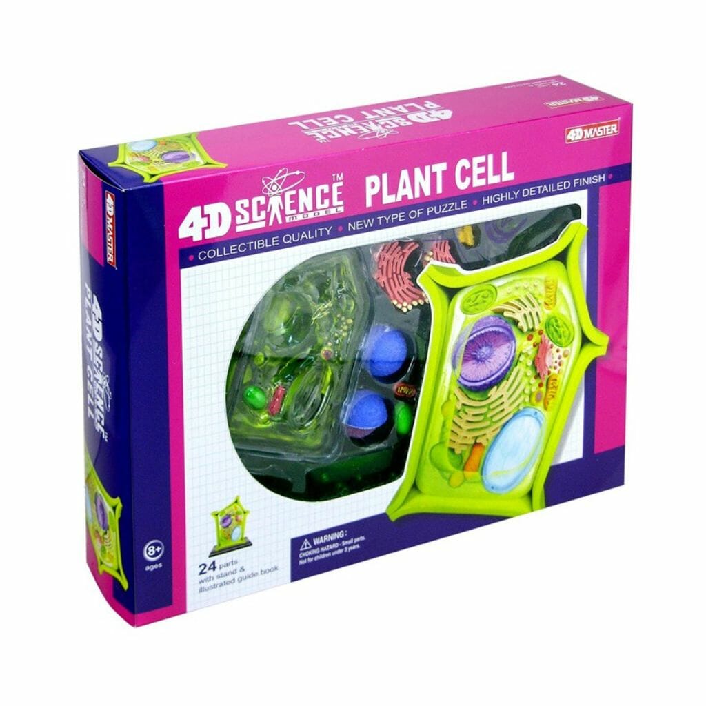 4D Science Model Plant Cell D Best Toys