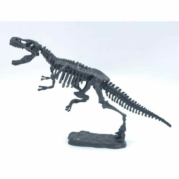 archeological excavating dinosaurs (3)