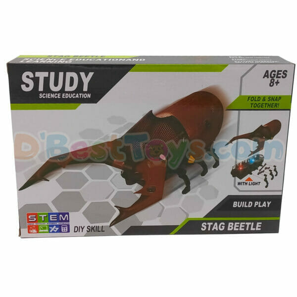 diy stag beetle (1)