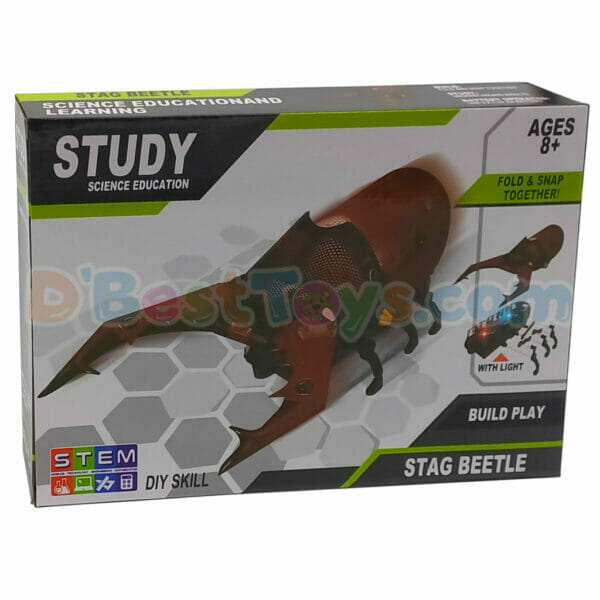 diy stag beetle (3)