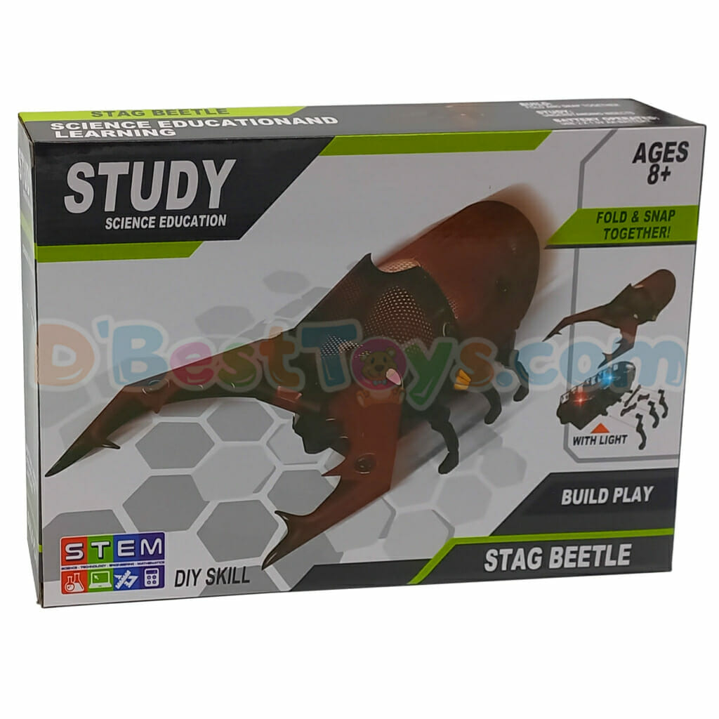 diy stag beetle (3)