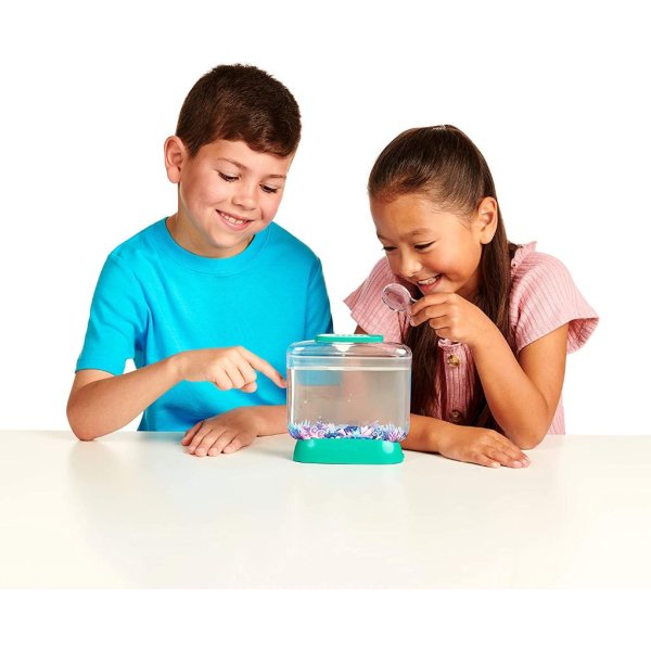 little live aqua dragons deep sea habitat led light up tank hatch and grow aquatic pets4