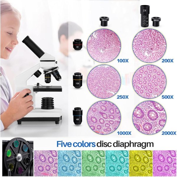 microscope for adults kids1