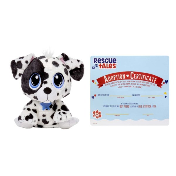 rescue tales adoptable pet dalmatian1