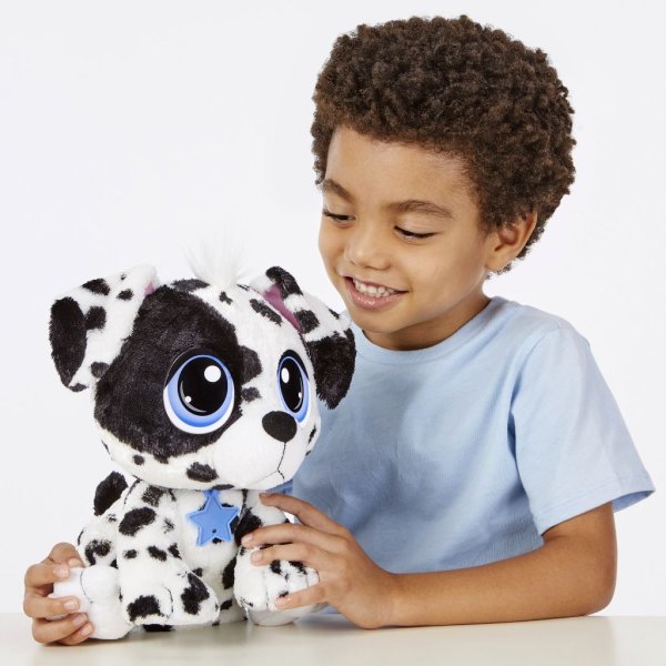 rescue tales adoptable pet dalmatian5
