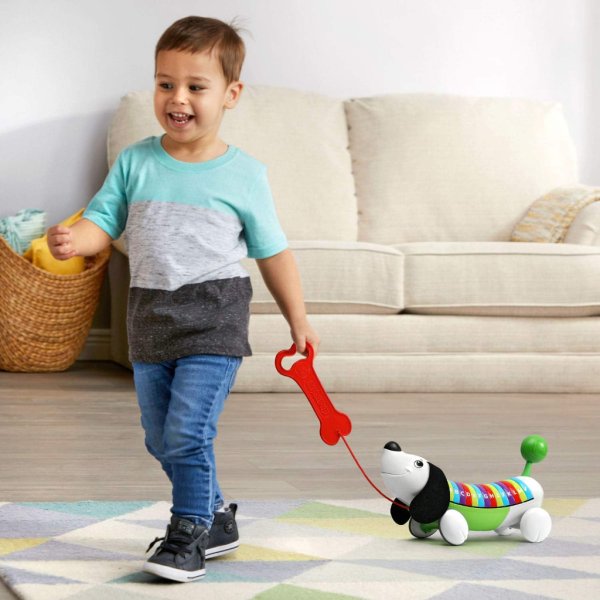 leapfrog alphapup toy green4