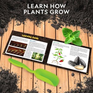 national geographic herb growing kit for kids6